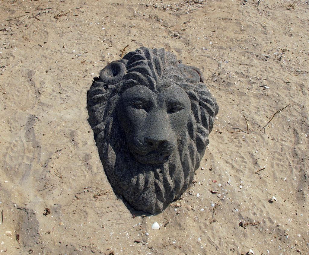 Le LION symbole du SENEGAL
